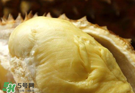 金枕頭榴蓮幾月份上市？金枕頭榴蓮什么時(shí)候上市？