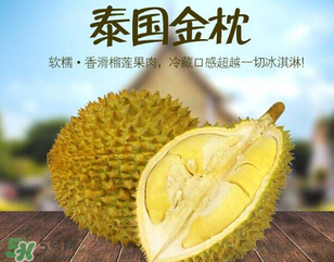 金枕頭榴蓮怎么才算熟？金枕頭榴蓮怎么催熟？
