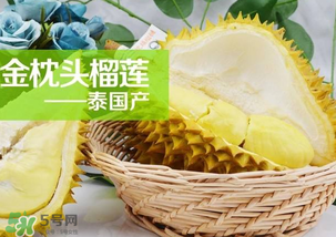 金枕頭榴蓮怎么才算熟？金枕頭榴蓮怎么催熟？