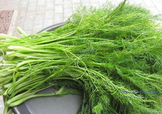 茴香菜是酸性還是堿性？什么人不能吃茴香菜