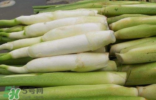 茭白是筍嗎？茭白是高筍嗎