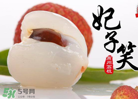 荔枝為什么叫妃子笑？荔枝和妃子笑的區(qū)別