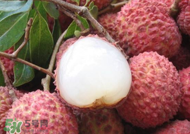 吃荔枝被酒駕怎么辦？吃荔枝酒駕是真的嗎？