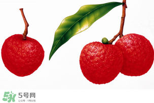 拉肚子能吃荔枝嗎 ？拉肚子可以吃荔枝嗎 ？