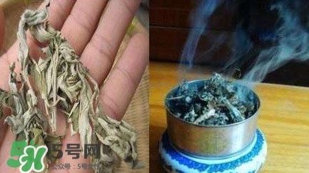 艾葉可以驅(qū)蚊子嗎？艾葉能驅(qū)蚊子嗎
