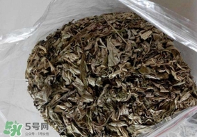 艾葉枕頭孕婦可以用嗎？艾葉枕頭小孩可以用嗎
