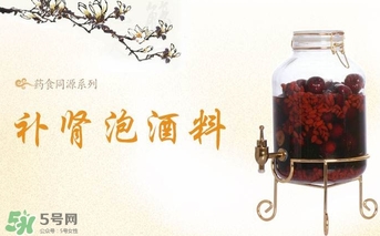 肉蓯蓉和什么泡酒最好？肉蓯蓉泡酒的功效與作用