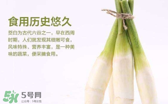 茭白是發(fā)物嗎？茭白是不是發(fā)物