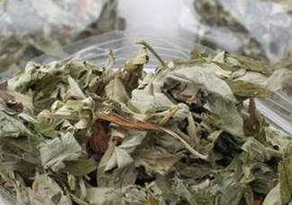 艾葉怎么做枕頭？自制艾葉怎么做枕頭