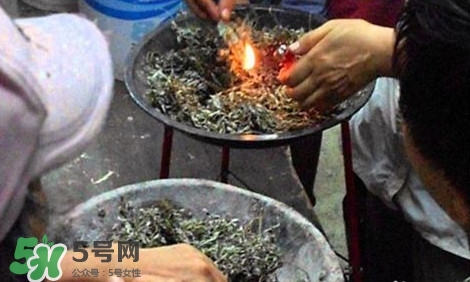 艾葉可以驅(qū)蚊子嗎？艾葉能驅(qū)蚊子嗎