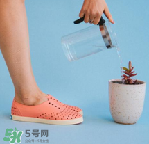 native鞋中文名稱是什么？native鞋中文怎么翻譯？