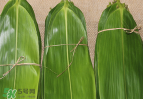 干粽葉要煮嗎？干粽葉到底是泡好還是煮好？