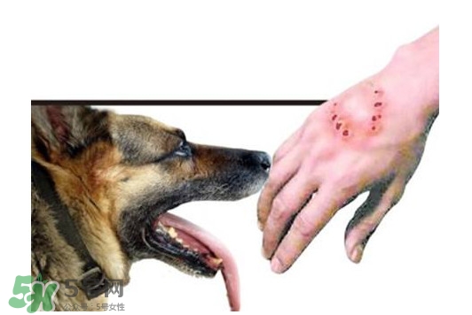 狂犬病能治好嗎？狂犬病的早期癥狀