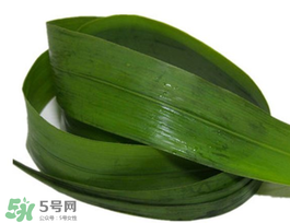 粽葉有幾種？粽葉哪種好？