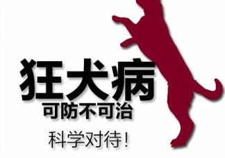 狂犬病會傳染嗎？狂犬病會學(xué)狗叫嗎