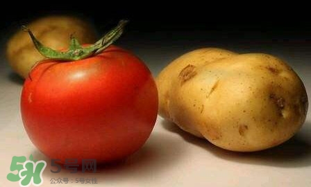 西紅柿能和土豆一起吃嗎？土豆可以和西紅柿一起吃嗎