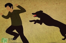 狂犬病疫苗什么時(shí)候打？狂犬病潛伏期最長(zhǎng)多久