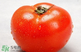 西紅柿能放冰箱冷藏嗎？西紅柿可以放冰箱保鮮嗎