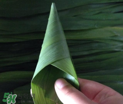 粽子葉能冷凍嗎？粽子葉放冰箱冷藏還是冷凍？