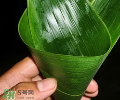 粽子葉能冷凍嗎？粽子葉放冰箱冷藏還是冷凍？