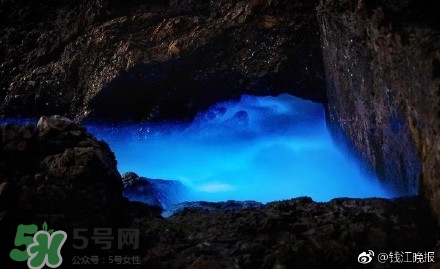 浙江多地驚現(xiàn)藍(lán)眼淚現(xiàn)象 藍(lán)眼淚是什么？