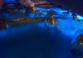 浙江多地驚現(xiàn)藍(lán)眼淚現(xiàn)象 藍(lán)眼淚是什么？