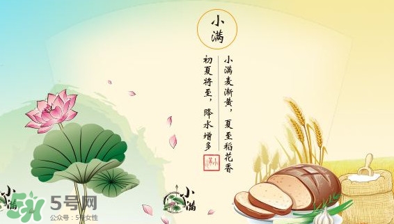 節(jié)氣小滿大滿是什么意思？24節(jié)氣為什么沒有大滿