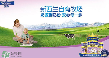 安滿滿睿幼兒配方奶粉怎么樣？安滿滿睿奶粉怎么沖？