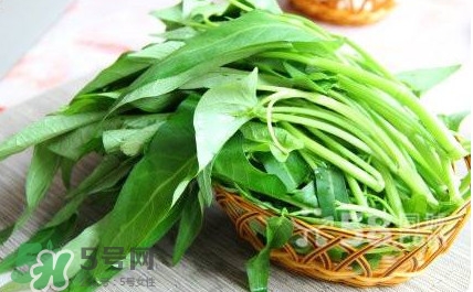 空心菜有毒嗎？空心菜需要焯水嗎？