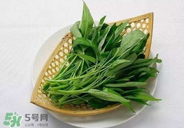 空心菜能和雞蛋一起吃嗎？雞蛋可以和空心菜一起吃嗎