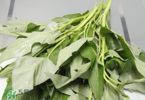 空心菜可以生吃嗎？空心菜能生吃嗎