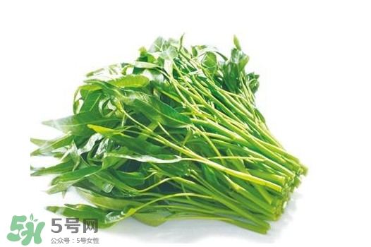 空心菜有毒嗎？空心菜需要焯水嗎？