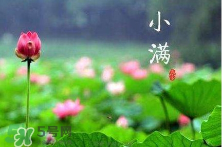 節(jié)氣小滿大滿是什么意思？24節(jié)氣為什么沒有大滿