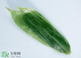 箬葉可以包粽子嗎？箬葉怎么包粽子？