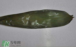 粽葉怎么曬干？粽葉怎么曬干不卷？