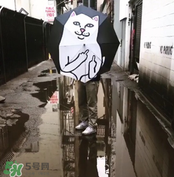 ripndip是什么牌子？ripndip是什么檔次？