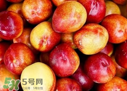 桃子的種類有哪些？哪種桃子最好吃？