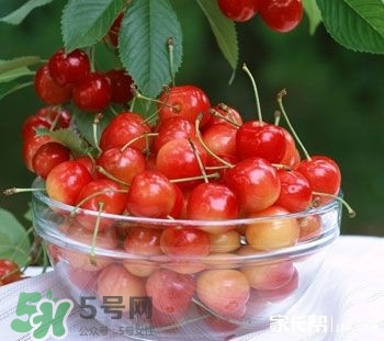 櫻桃是熱性還是涼性？櫻桃能多吃嗎？