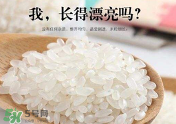 大米可以包粽子嗎？包粽子大米要泡多久？