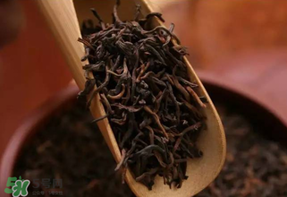 普洱茶能不能天天喝？天天喝普洱茶好嗎？