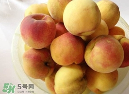 黃桃是杏子嗎？黃桃和杏子的區(qū)別