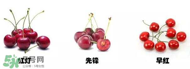 櫻桃和車?yán)遄佑惺裁磪^(qū)別？櫻桃和車?yán)遄幽膫€貴？