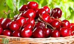櫻桃汁怎么洗掉？衣服上的櫻桃汁怎么洗？