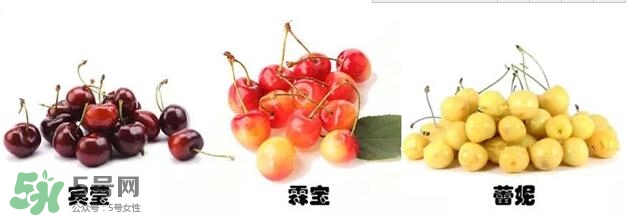 櫻桃和車?yán)遄佑惺裁磪^(qū)別？櫻桃和車?yán)遄幽膫€貴？