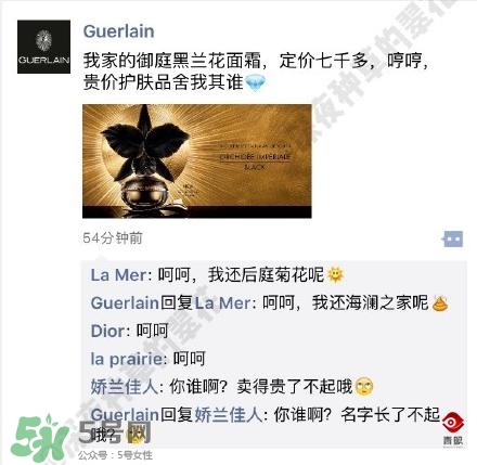 嬌蘭和嬌蘭佳人一樣嗎？嬌蘭和嬌蘭佳人什么聯(lián)系？
