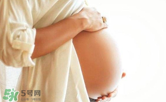 孕婦可以吃肉松蛋糕嗎？孕婦能吃肉松面包嗎