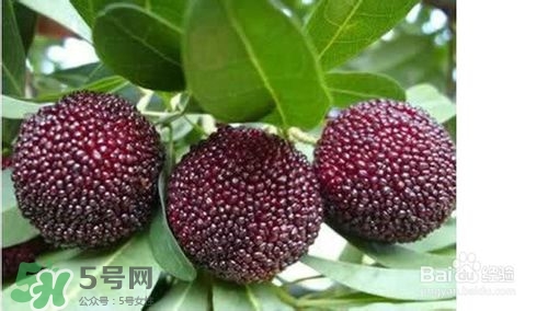楊梅怎么吃好吃？楊梅怎么吃不酸？