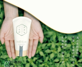 百雀羚三生花洗面奶多少錢？百雀羚三生花洗面奶價格