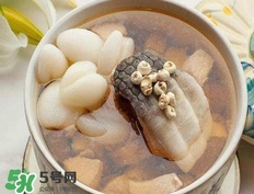 鱷魚(yú)肉燉湯要去皮嗎？鱷魚(yú)肉煲湯新鮮的好還是干的好