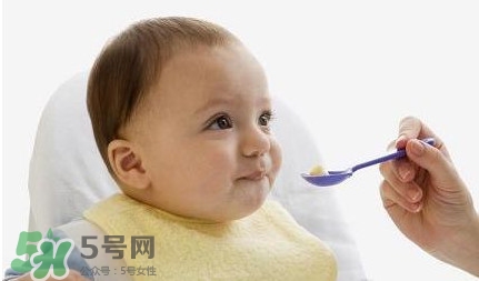 寶寶幾個月可以吃肉松？寶寶多大可以吃肉松